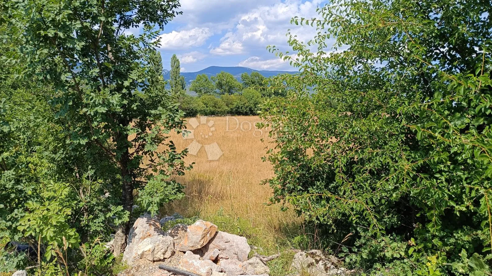 čavle, zemljište 3500 m2 sa građevinskom dozvolom - slika 2