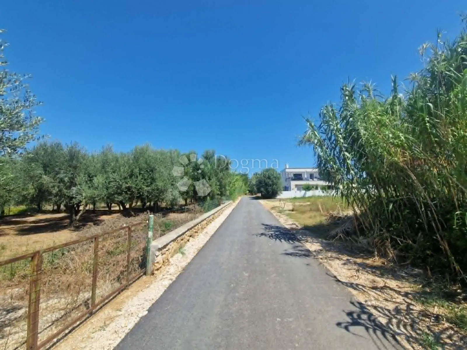 privlaka - građevinsko zemljište 2513 m2 - slika 5