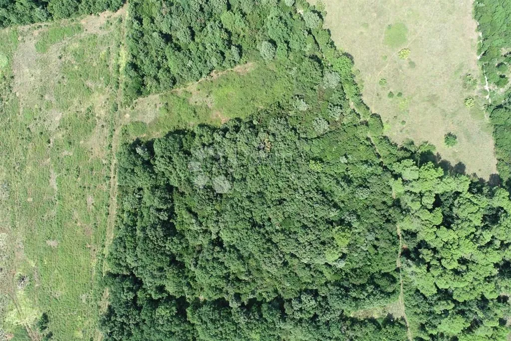 poljoprivredna parcela s pogledom na more - slika 3