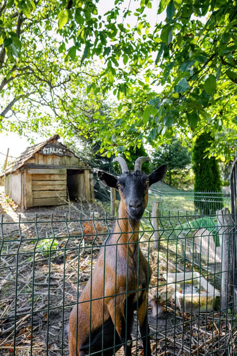 prilika za investiciju: uhodani obiteljski hotel s mini zoo vrtom u srcu zagorja - slika 32