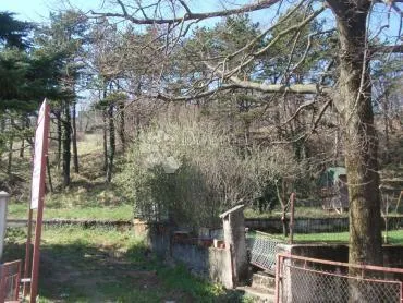 čavle 1500m2 - slika 2