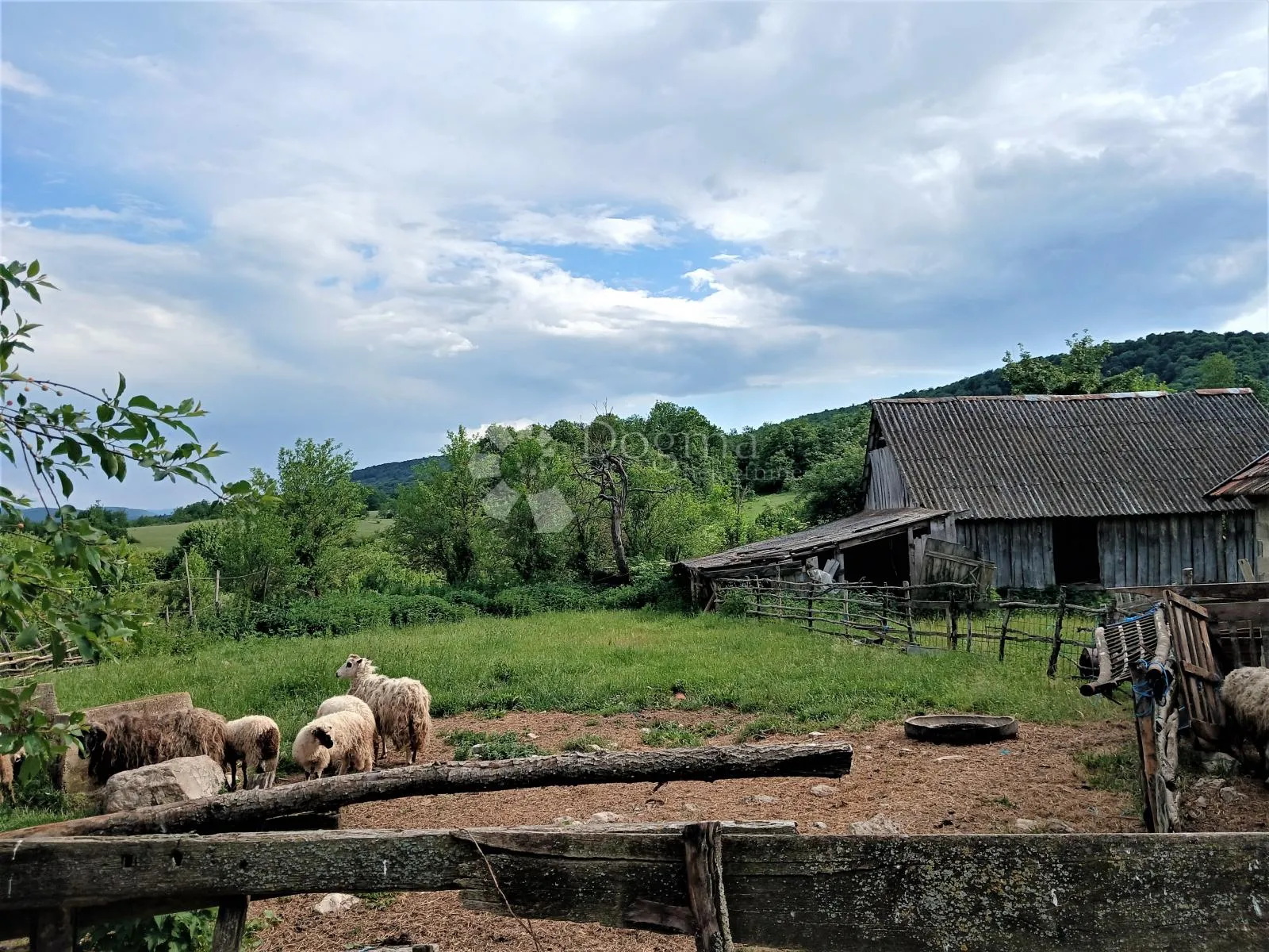 veliko seosko imanje od 6.297 m² kestenovac, donji lapac - slika 4