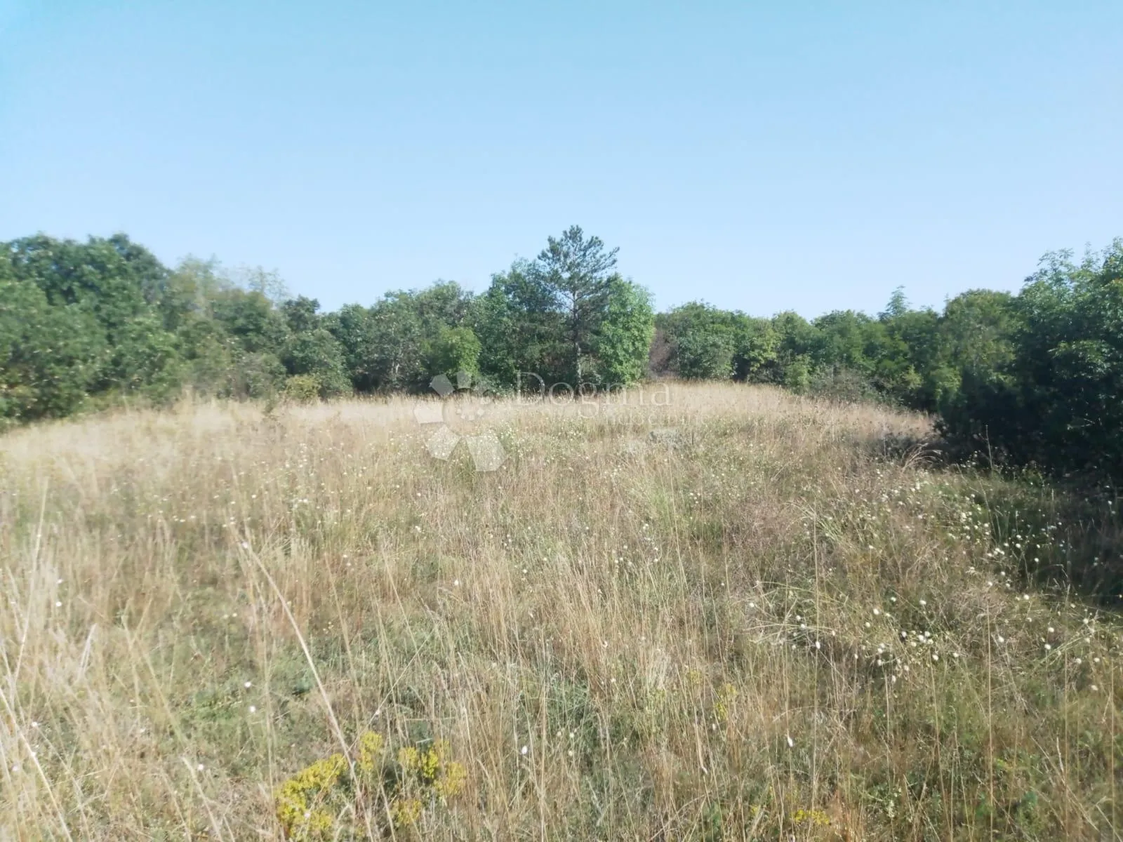miran raj na zemljištu površine 22 371 m2 (22,37 ha) dio građevinski, nedešćina - istra! - slika 6