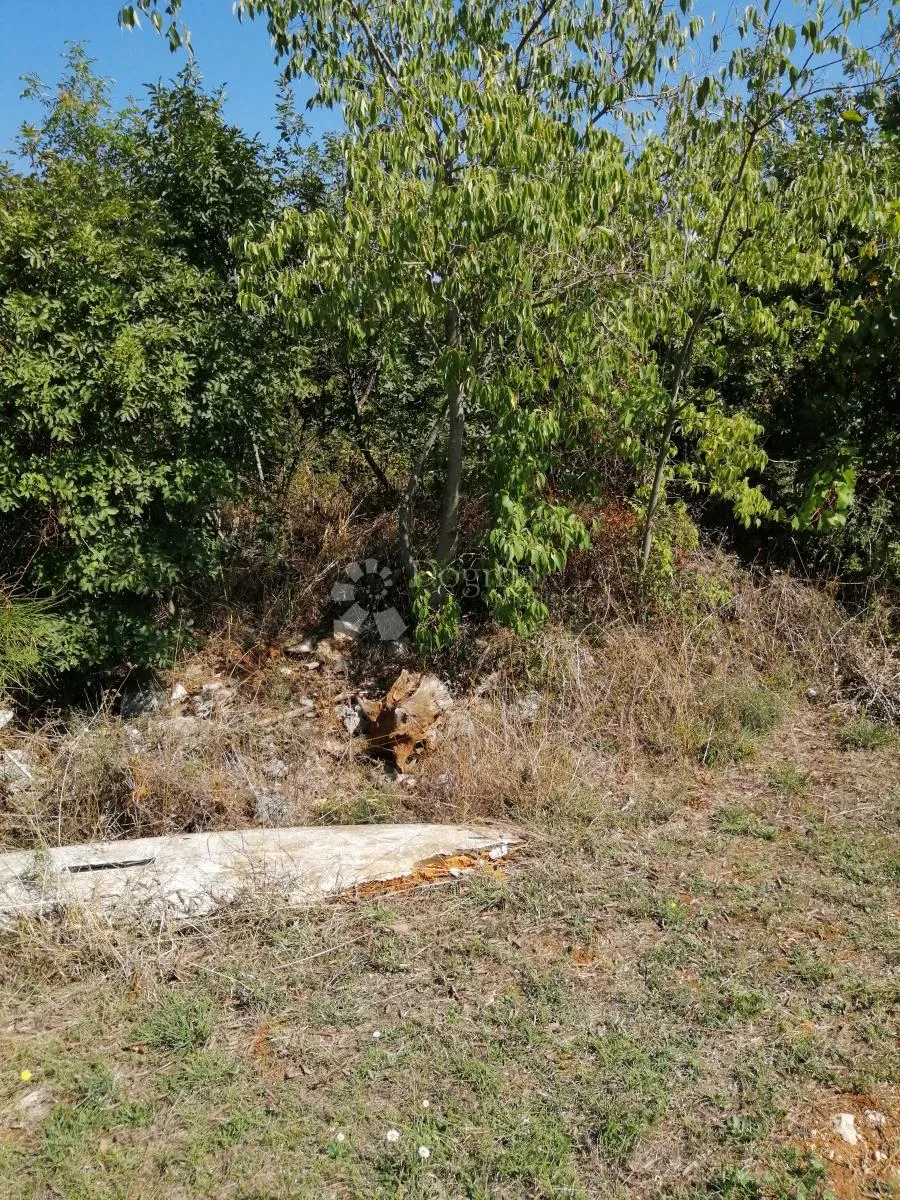 poljoprivredno zemljište 1.700 m od mora — peroj, 788 m - slika 3