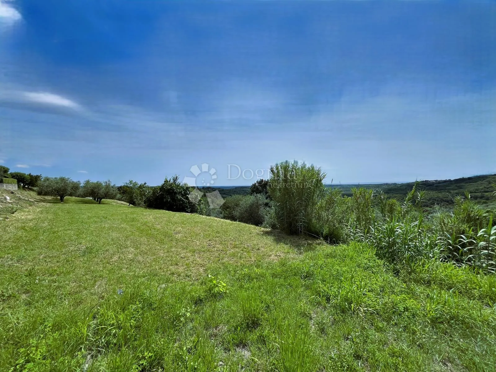 Zemljište Sa Izuzetnim Pogledom I Građevinskom Dozvolom - Buje