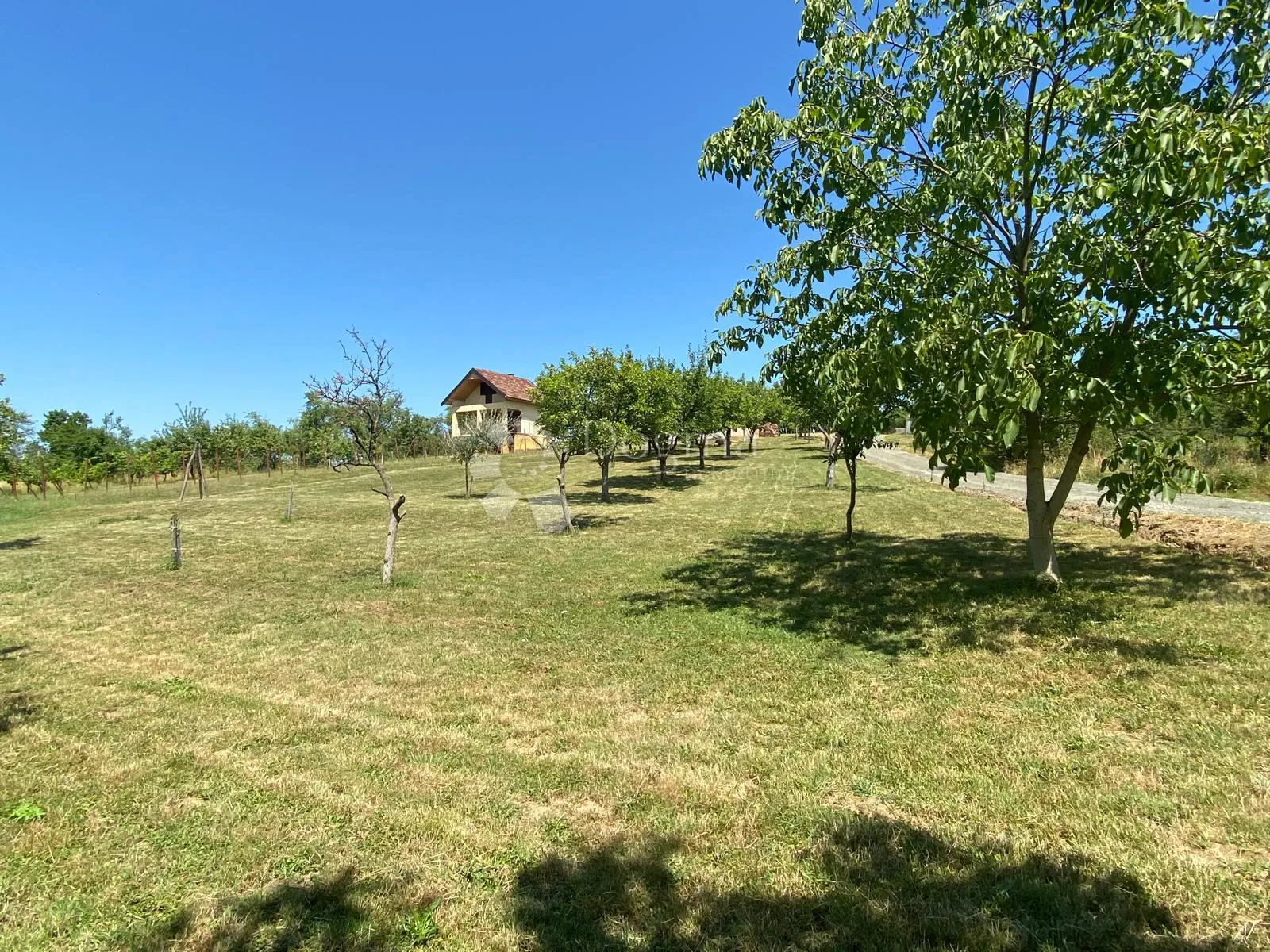 vikendica - građevno zemljište 5329 m2 - slika 4