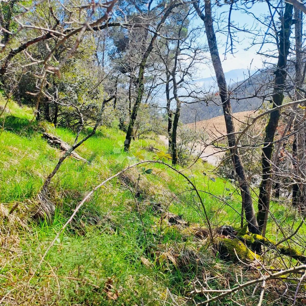 poljoprivredno zemljište – 7.399 m² – kalac,prodaja! - slika 5