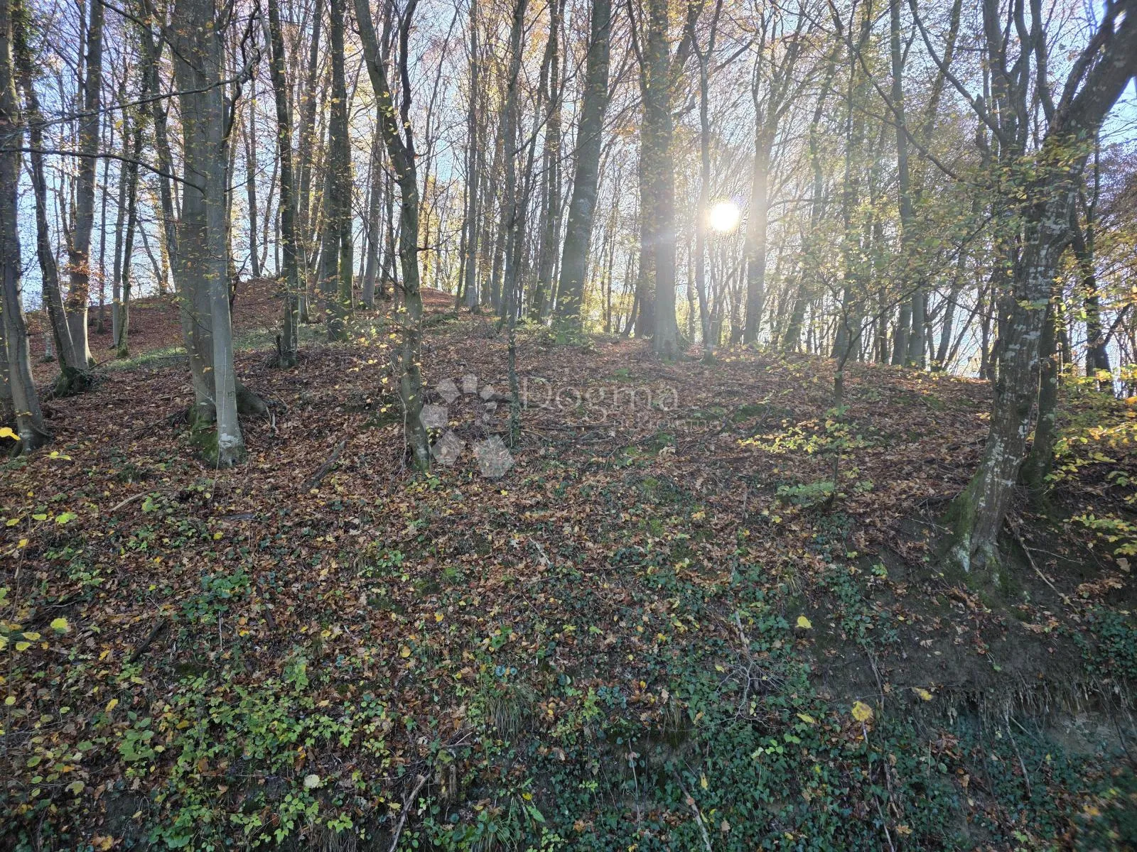 šuma i pašnjak 7.182m² u selnu kod krapinskih toplica - slika 5