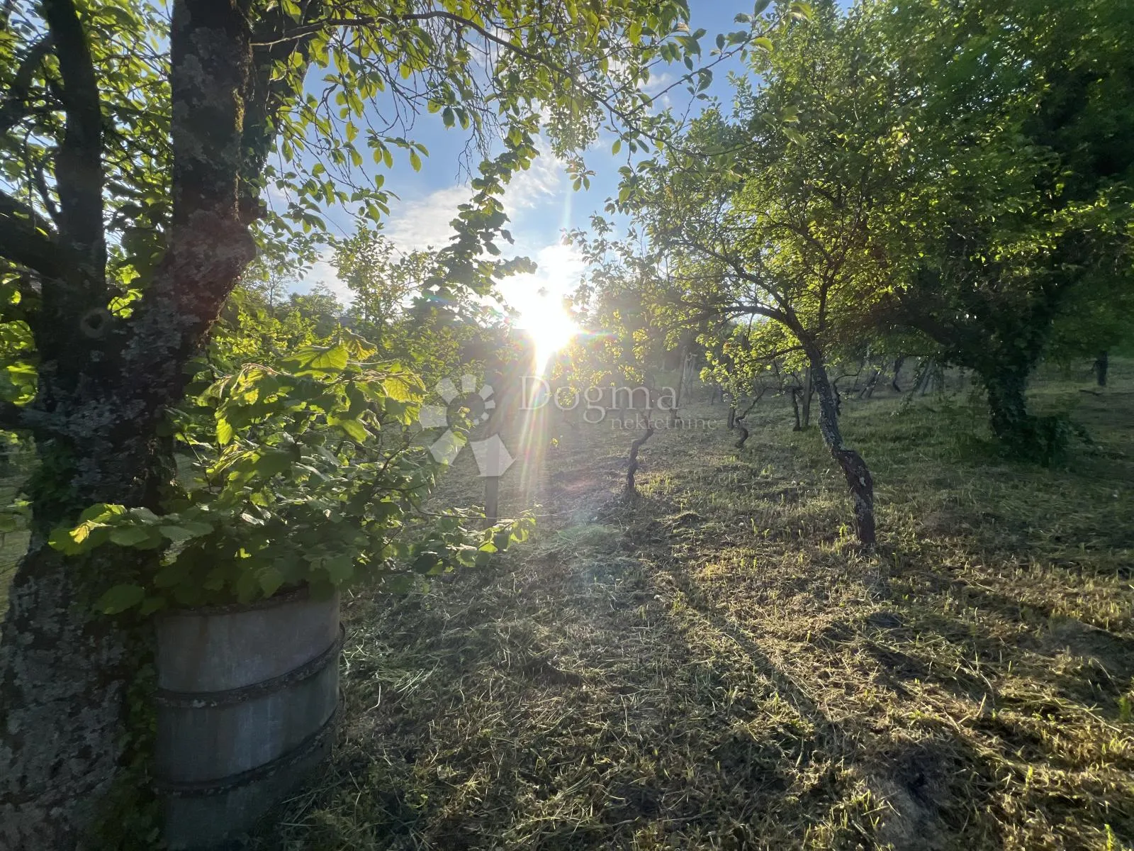 čučerje – poljoprivredno zemljište s pogledom i objektom 1758m2 - slika 4