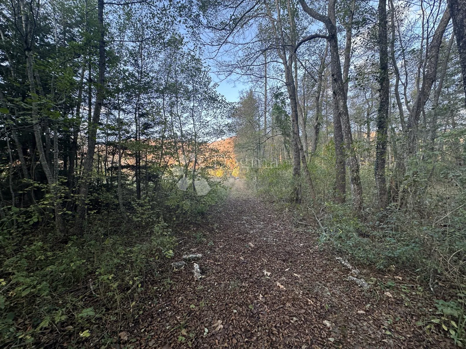 brušane 7300 m2 - turistička namjena - slika 9