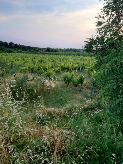 građevinsko zemljište u benkovcu – 1.871 m², pristupačna lokacija - slika 2