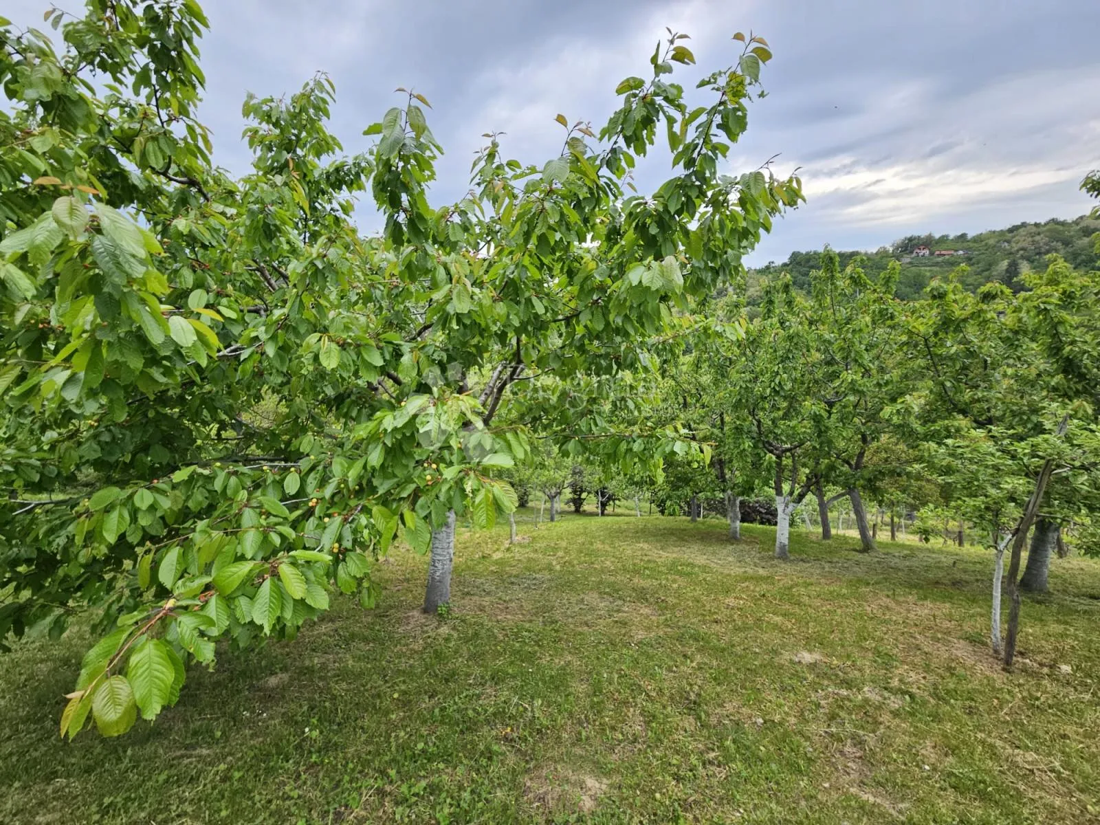 idealna vikend kuća vugrovec 236.98 m²+okućnica 2746 m2 - slika 18