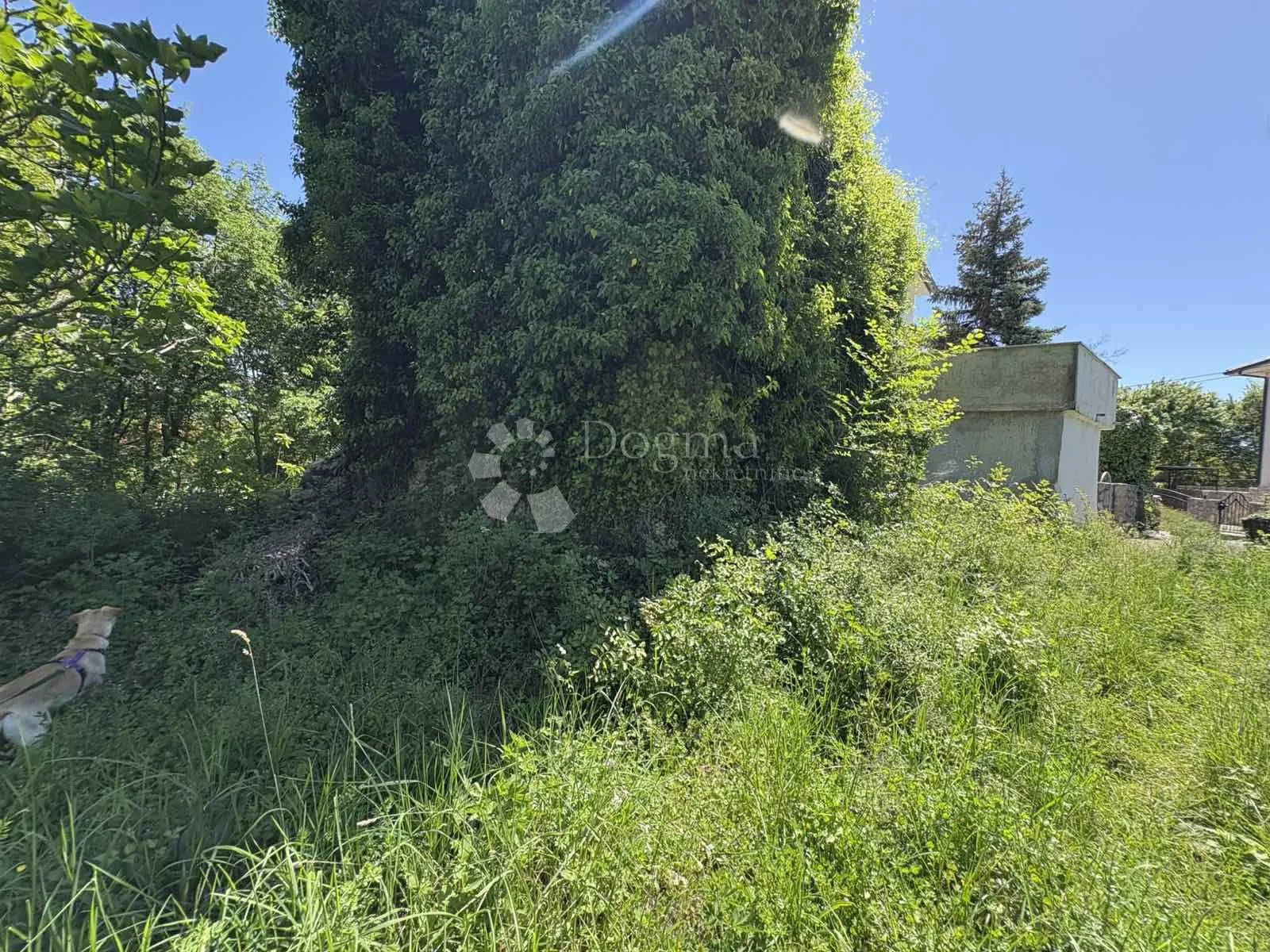 kamena kuća na otoku krku - slika 3
