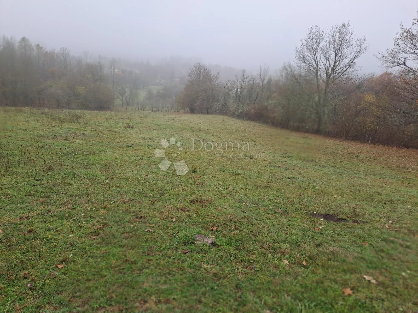 uživancija za konjiće, kravice ili ljude - slika 4