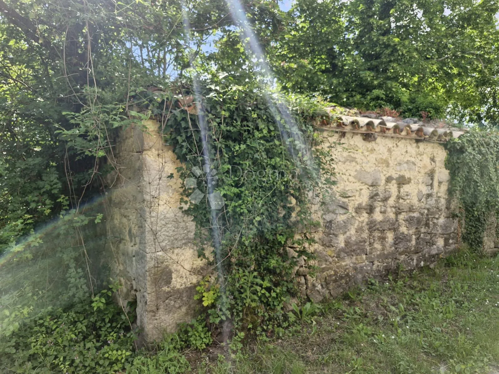 prekrasna starina za adaptaciju u okolici buzeta - slika 13
