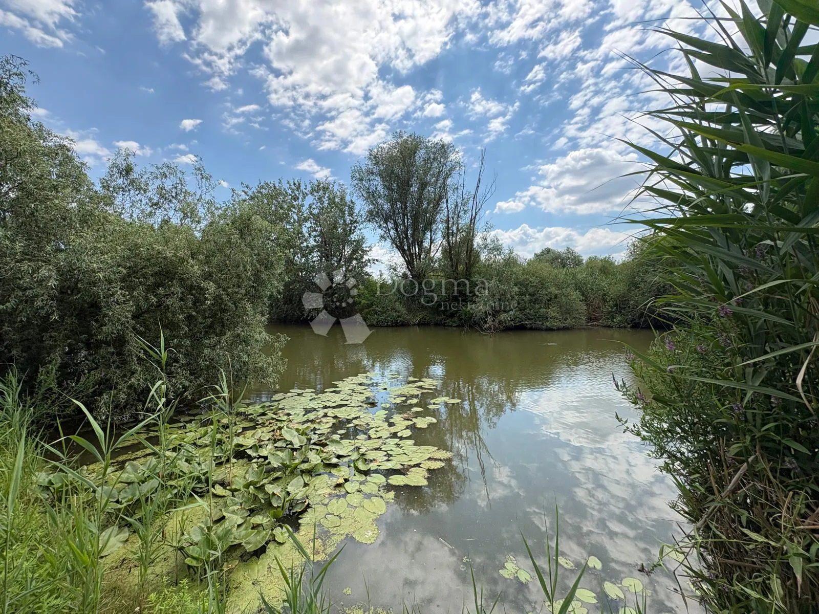 atraktivno imanje s ribnjakom i turističkim potencijalom - slika 30