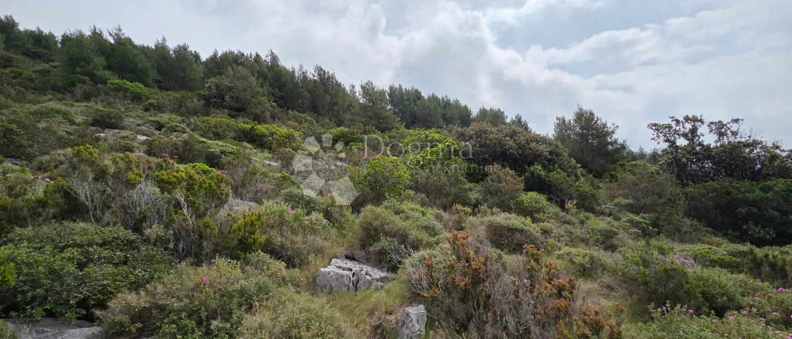 zemljište na prodaju, pogled na more, otok korčula, čara - slika 4