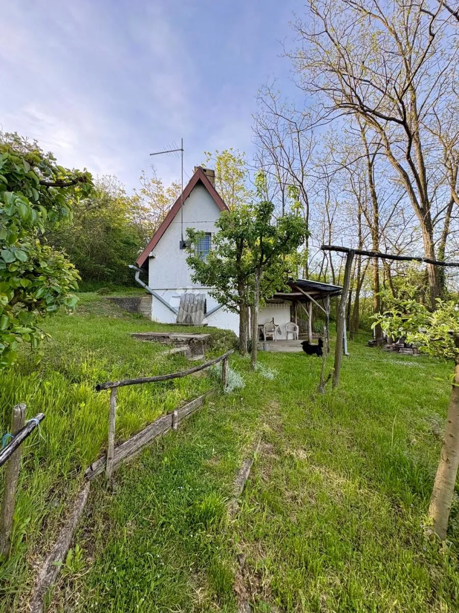 Oaza mira i privatnosti – vikendica s vinogradom i 3.797 m² okućnice - Branjin Vrh, Beli Manastir