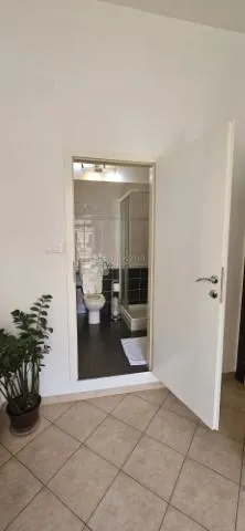 odličan uređen 3s+db stan na mlaci - slika 15