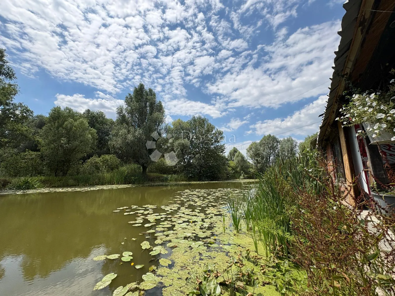 atraktivno imanje s ribnjakom i turističkim potencijalom - slika 16