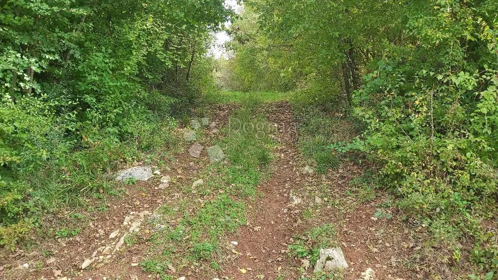 poljoprivredno zemljište u blizini sela - slika 8