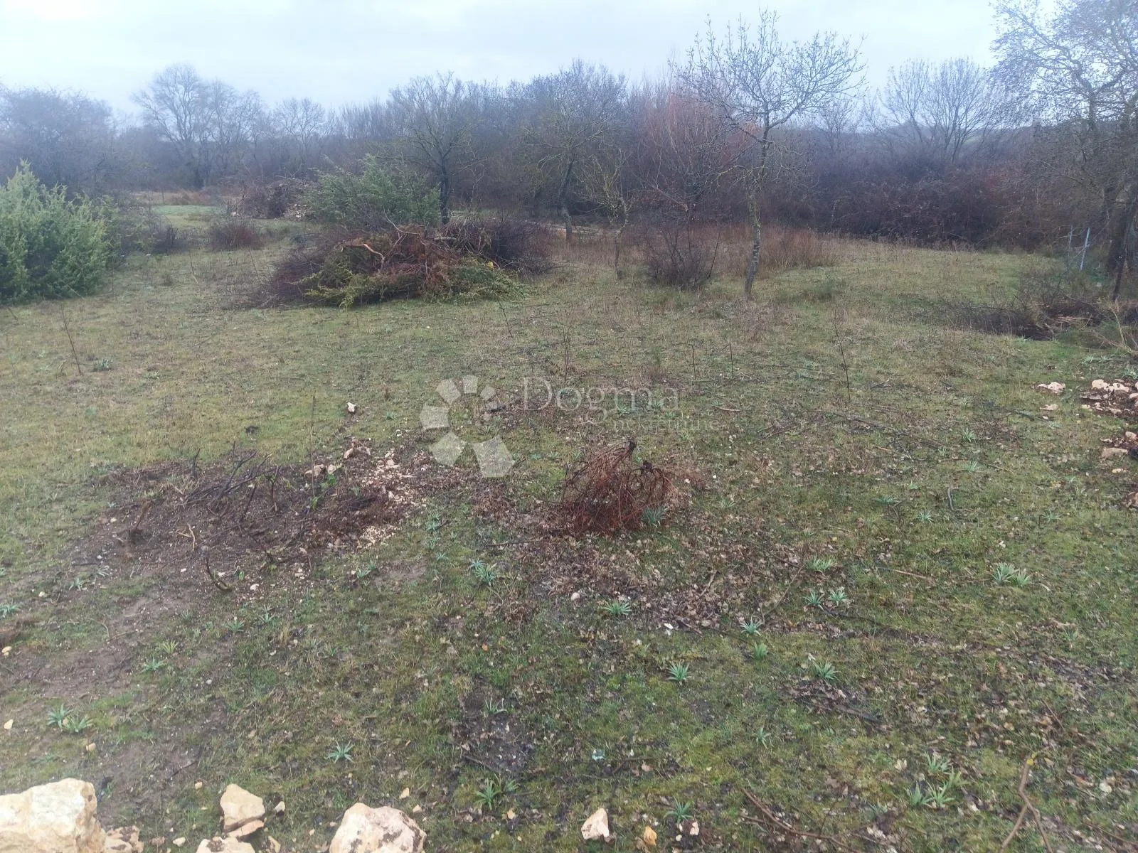 ekskluzivna prilika-briševo kraj zadra - slika 1