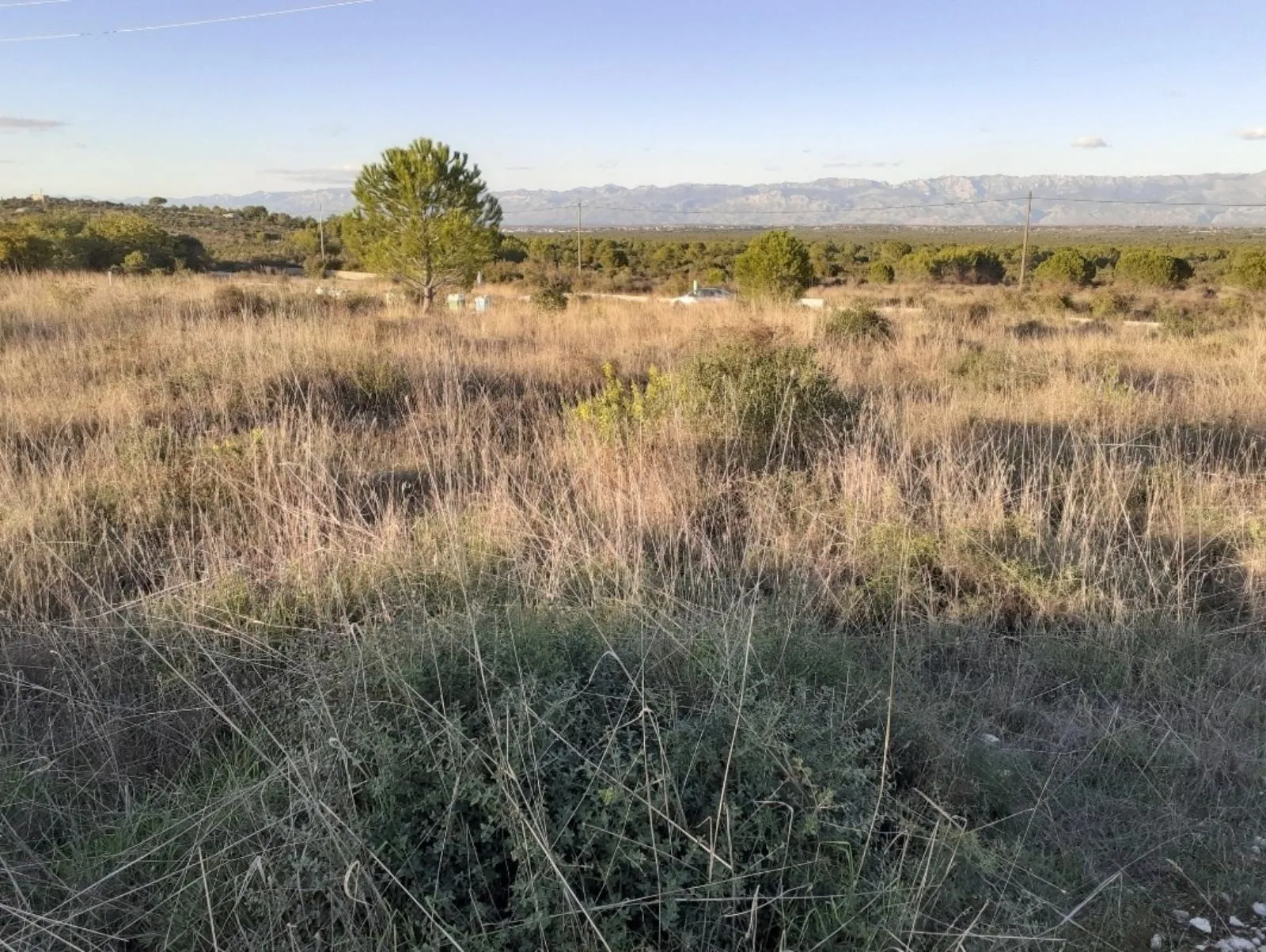 babindub (zračna luka zadar), poljop.zemljište - 3850 m2 - slika 3