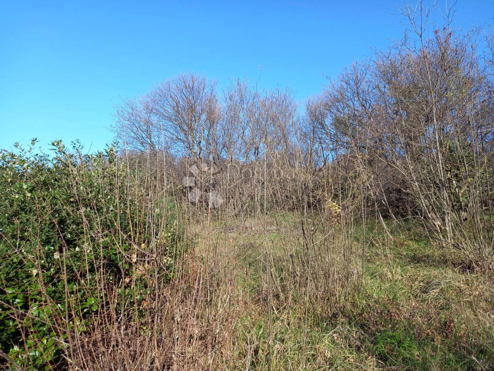 kostrena, teren s pogledom na more - slika 4
