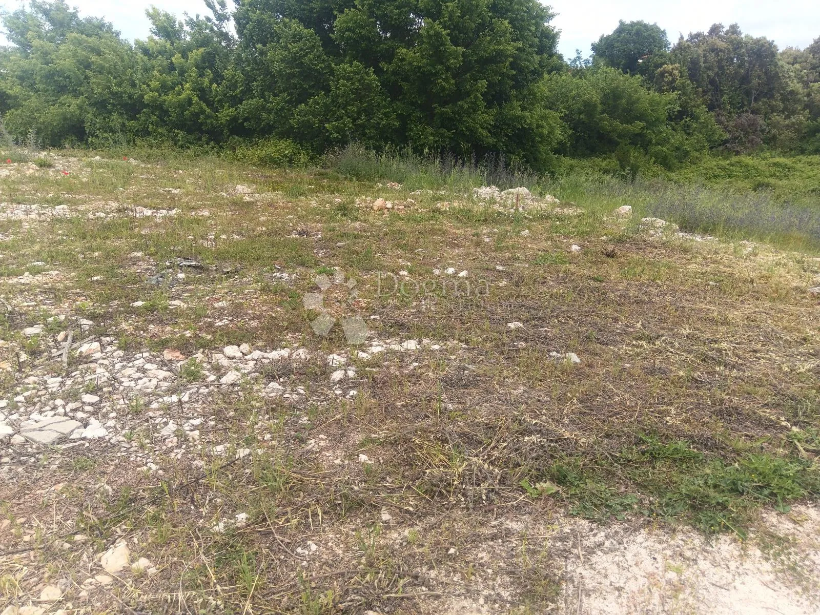 zaton,621 m2 - 200m od mora - slika 2