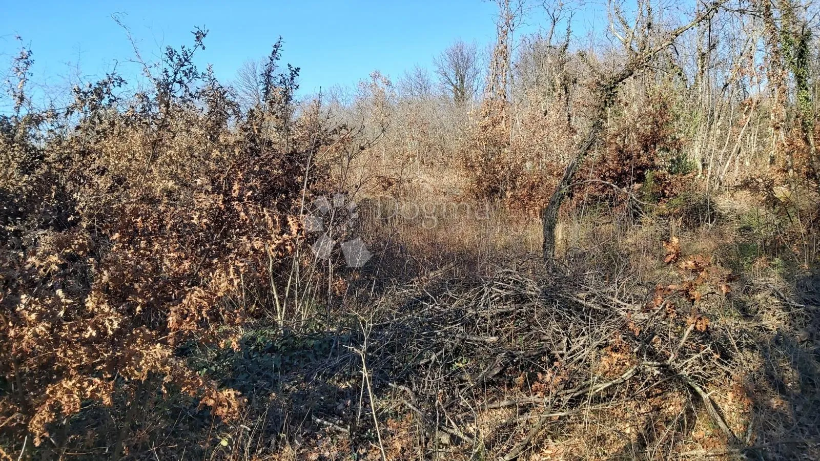 poljoprivredno zemljište šajini - slika 8