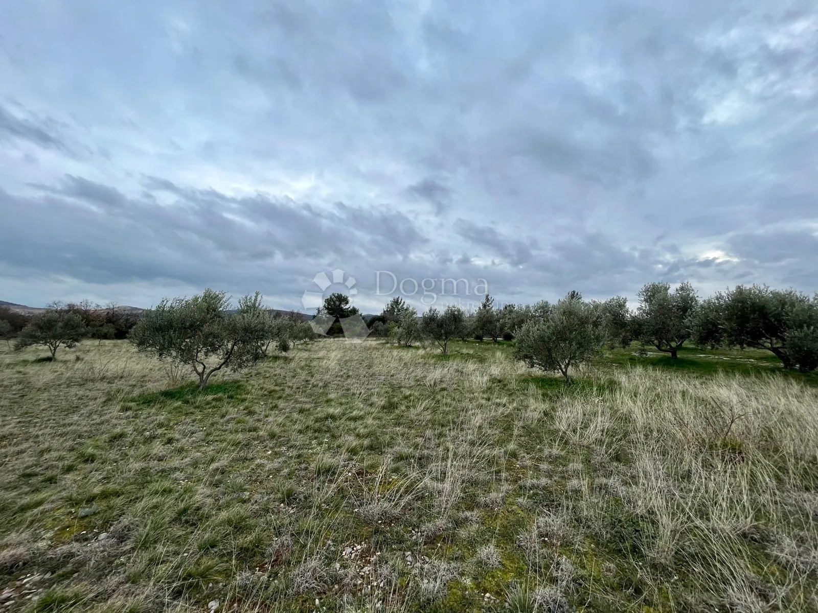 građevinsko zemljište 9.490 m² s maslinikom u rašteviću - slika 8