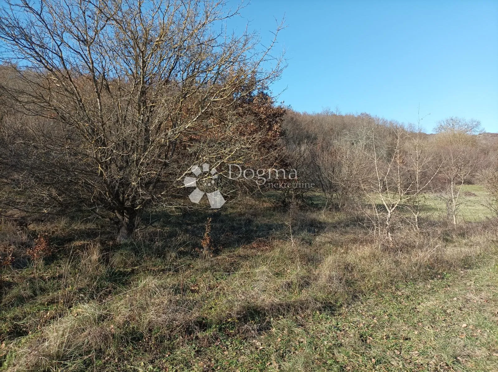 poljoprivredno zemljište 2020m2 10800e - prilika - slika 5