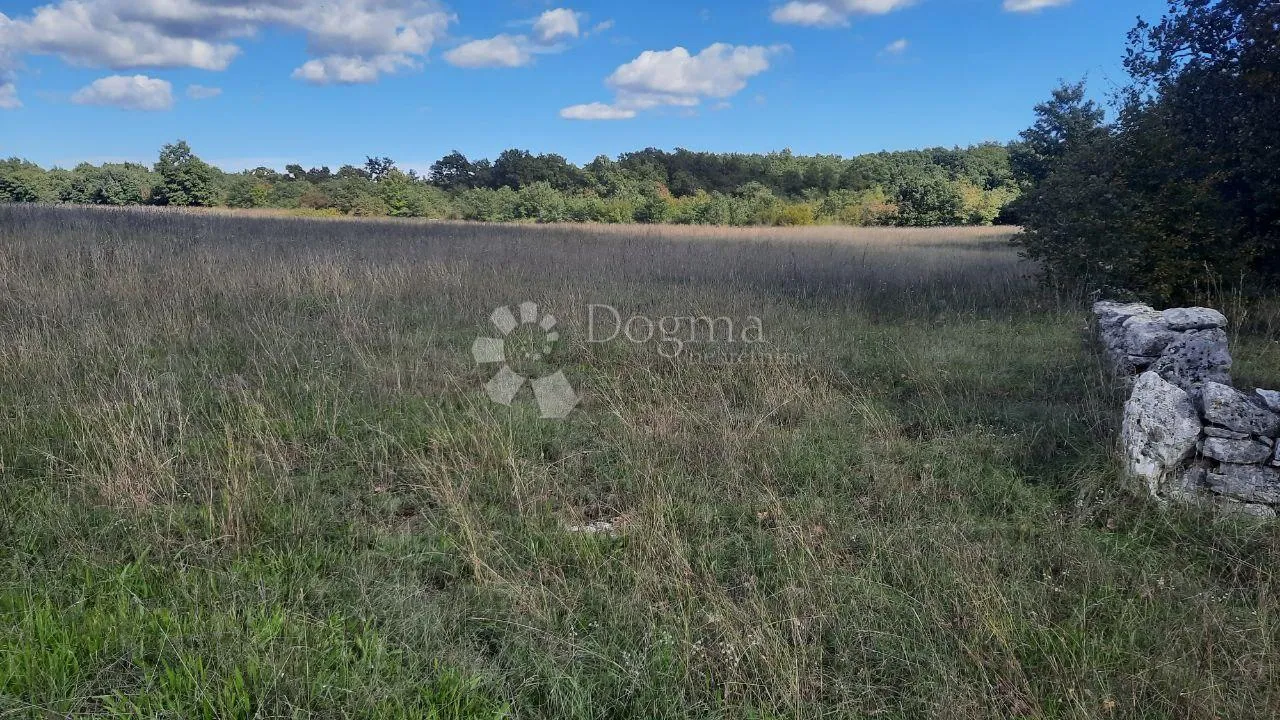 PRILIKA! Poljoprivredno zemljište Štokovci 26059m2 - Štokovci, Svetvinčenat