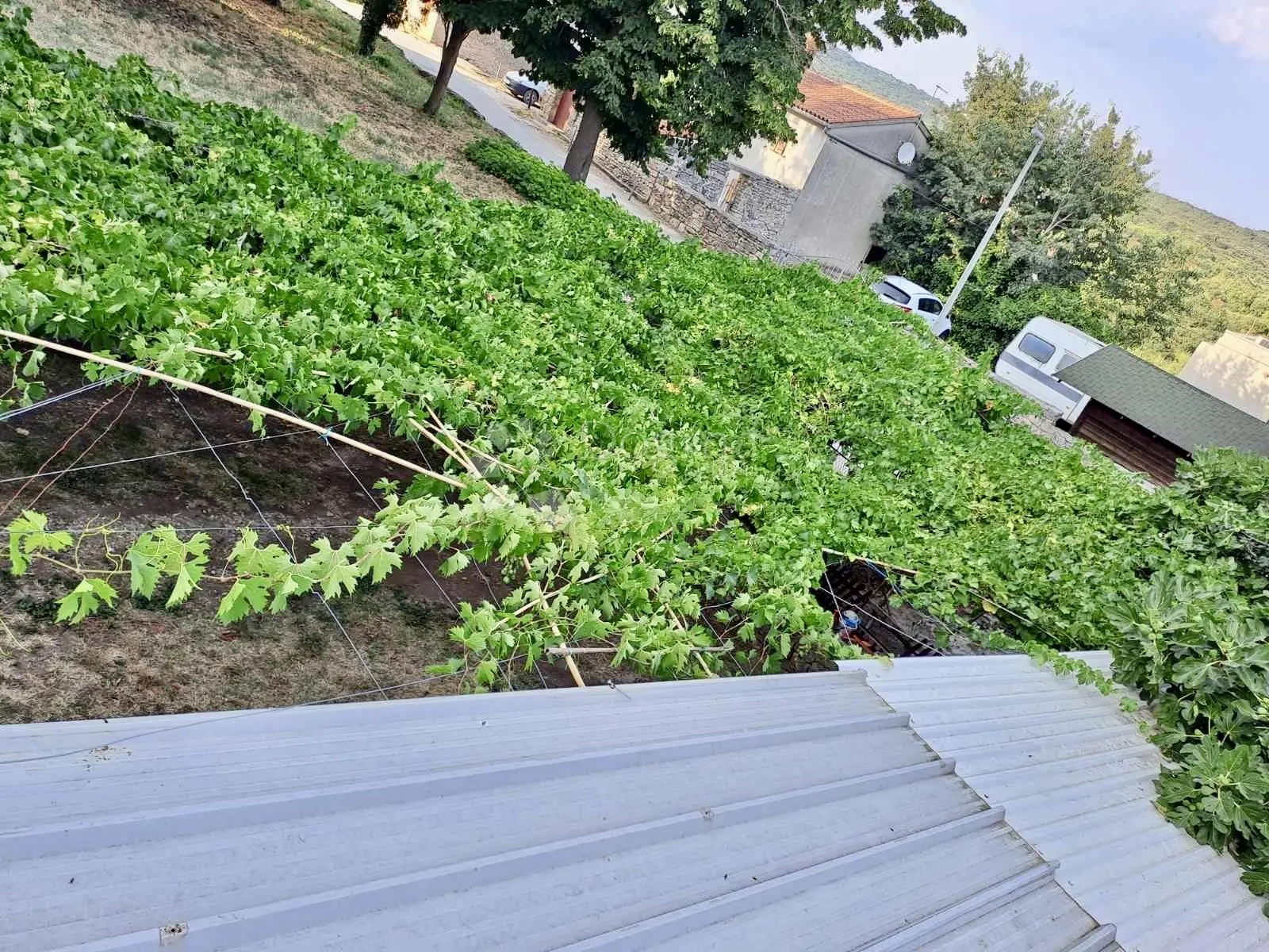 kuća u centru bala sa dvorištem - slika 6