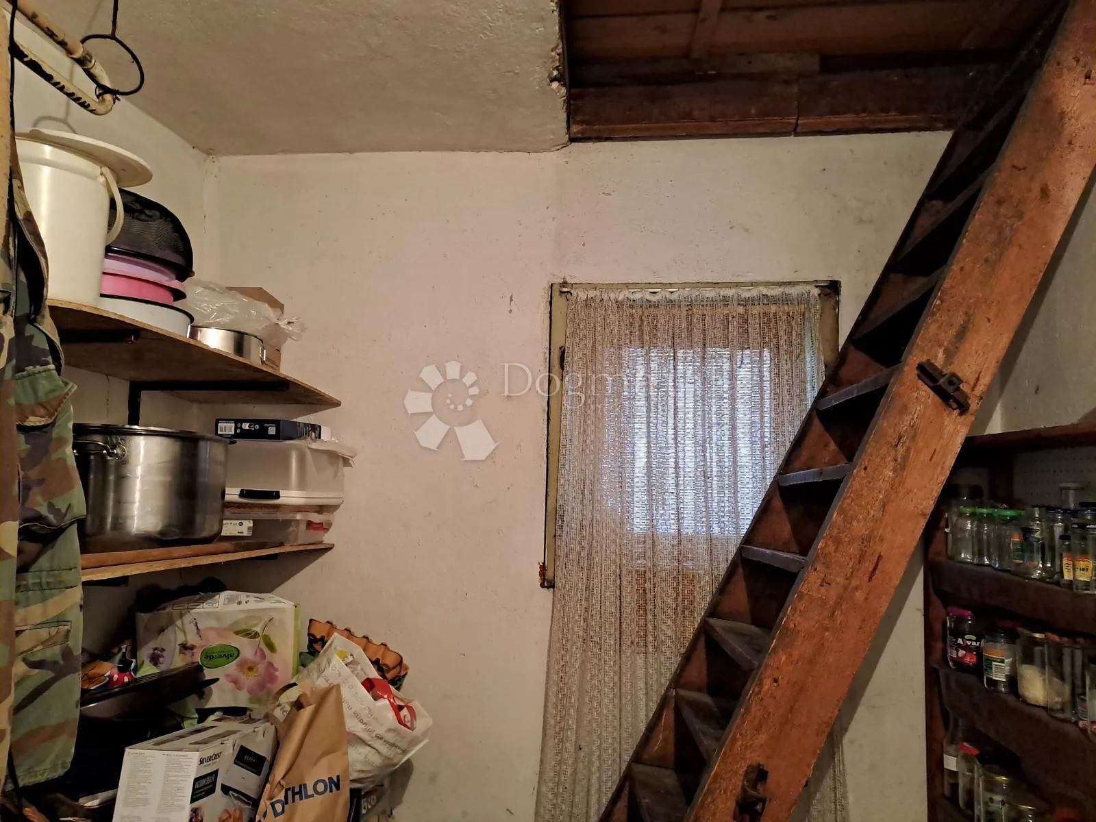 uživancija za konjiće, kravice ili ljude - slika 15