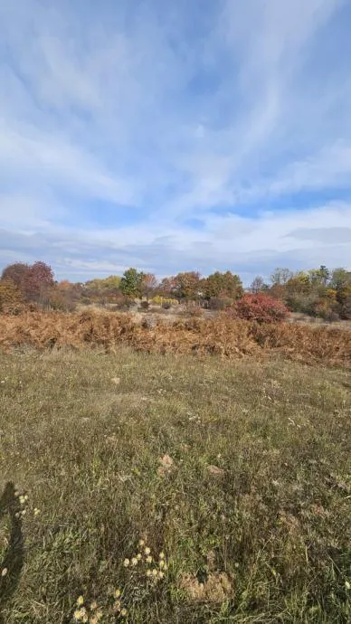 mješovito zemljište gospić 16312 m2 - slika 5
