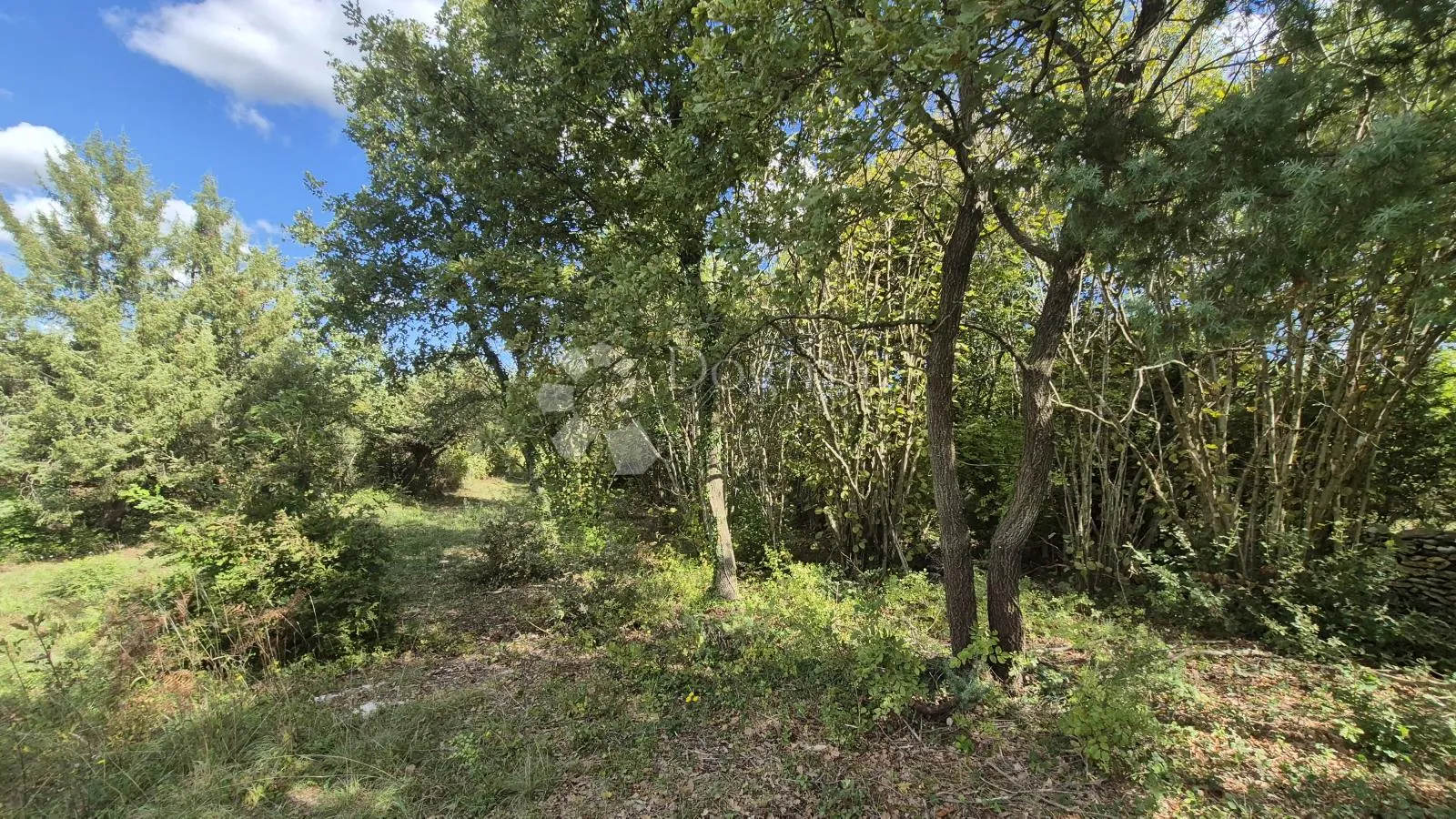 poljoprivredno zemljište sa kažunom površine 3550 m2 - slika 18