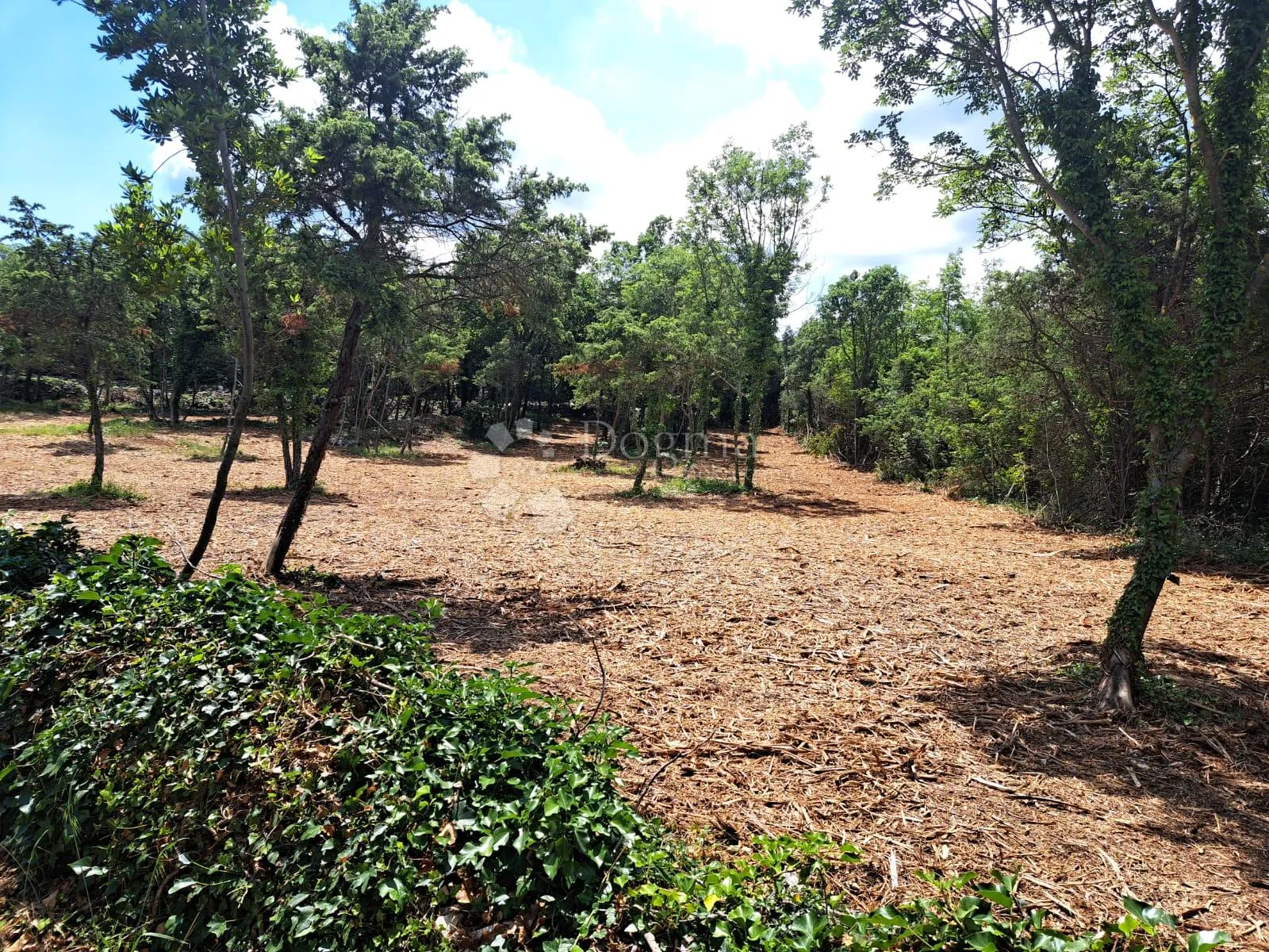 građevinsko zemljište na lijepoj lokaciji - slika 4