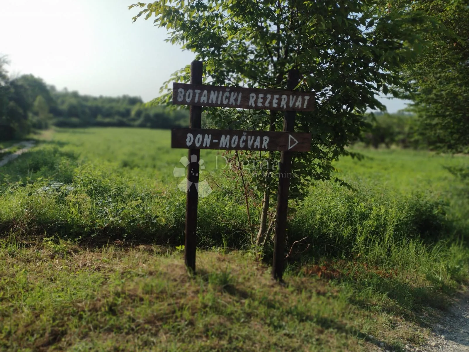 blatuša - 11.2ha - potok, konji !!! - slika 8