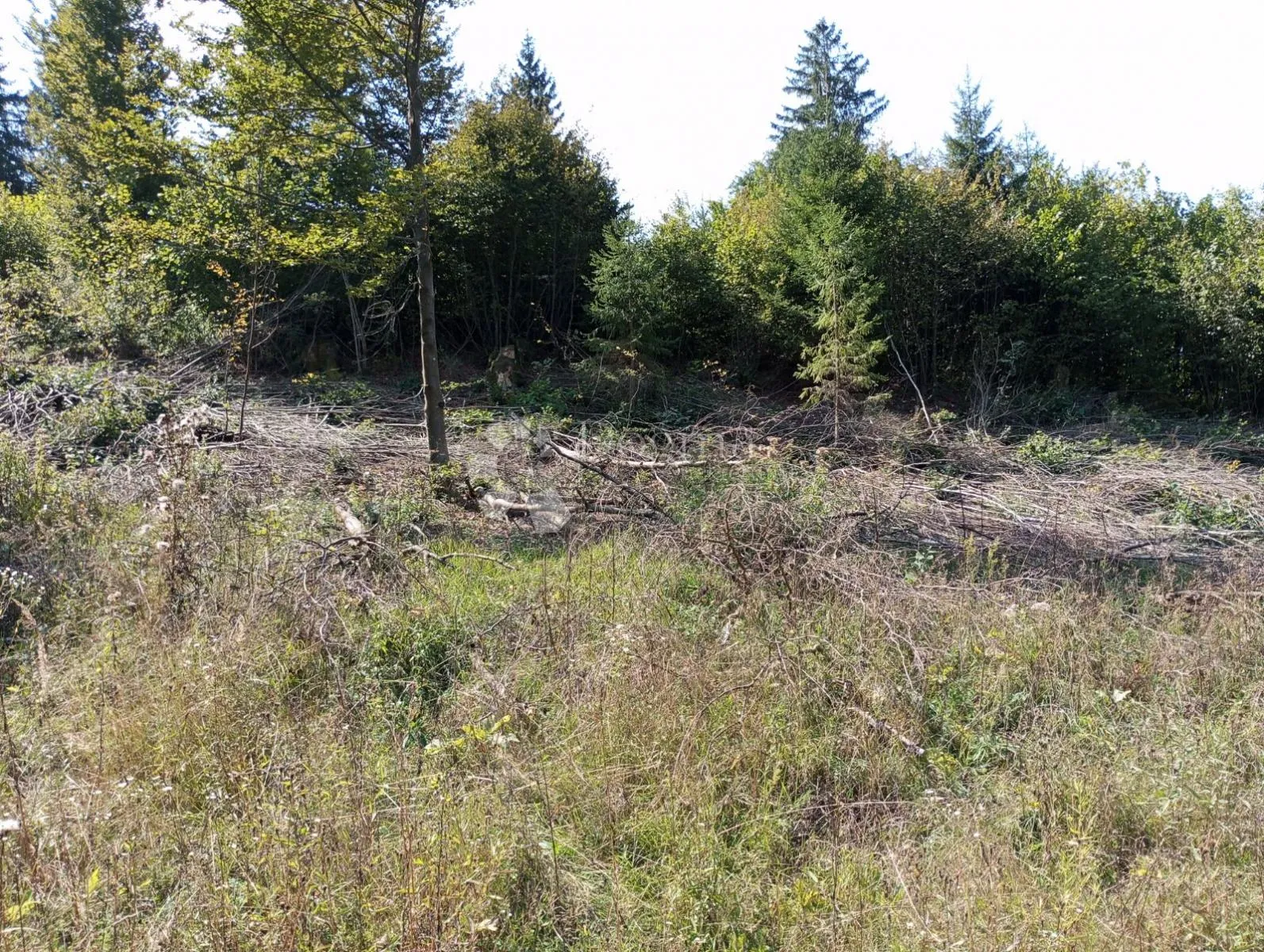 rijetka prilika gorski kotar, delnice 10.500 m2 zemljište za 9 a-frame vikendica - slika 7