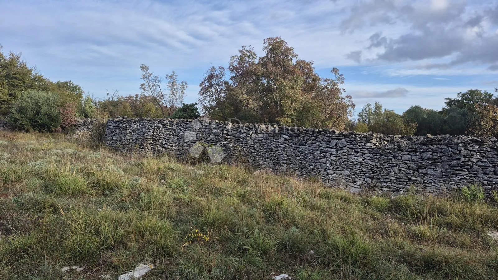 pašnjak ograđen suhozidom, površine 1705 m2 - slika 7