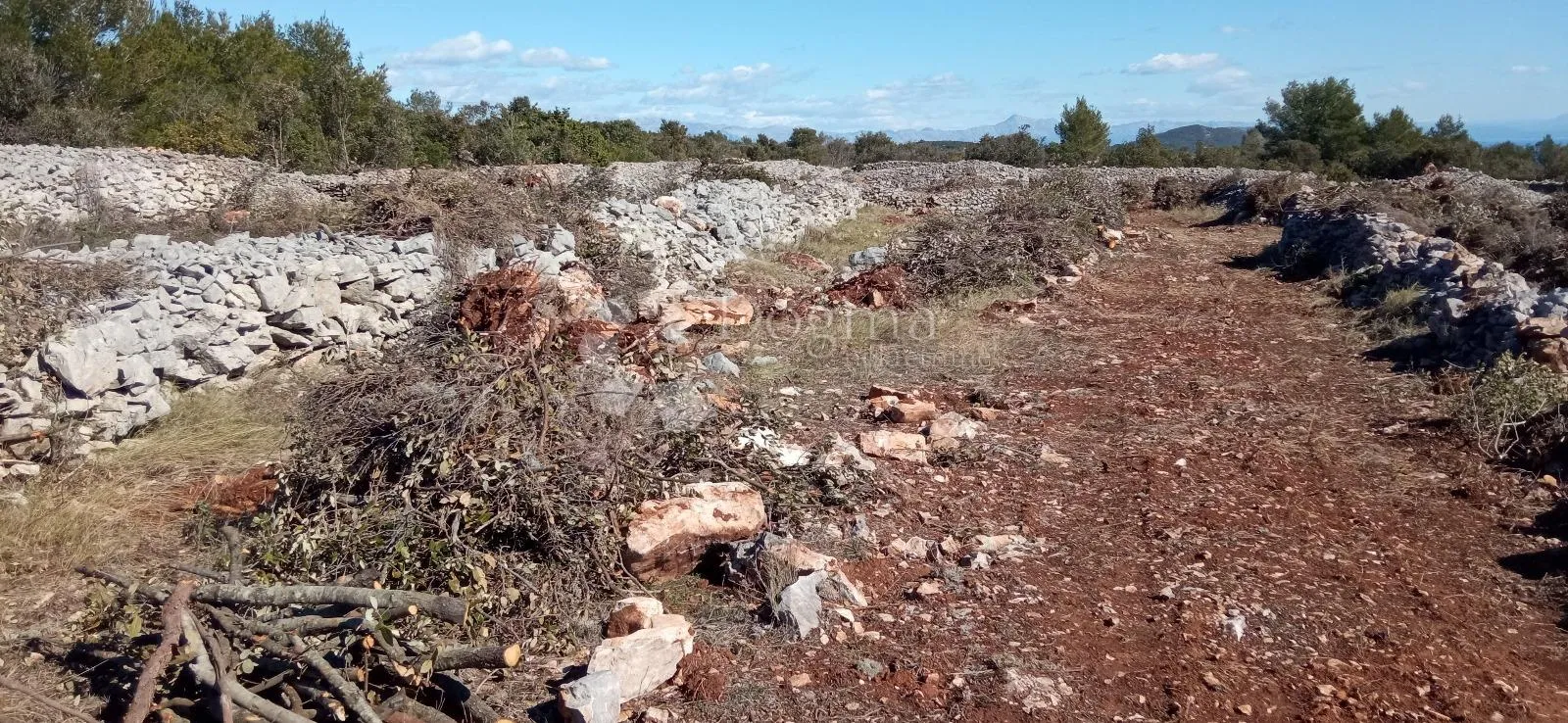 poljoprivredno zemljište jelsa 27000m2 - slika 6