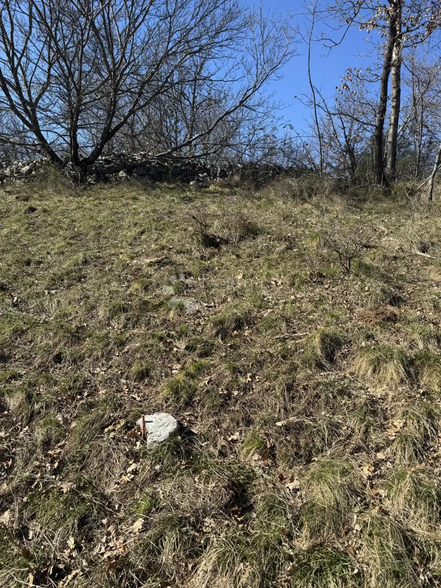 poljoprivredno zemljište - slika 2