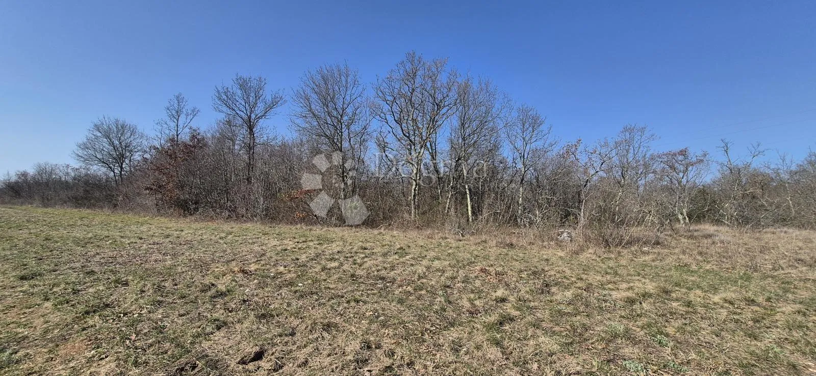 poljoprivredno zemljište 4630 m2 - slika 4
