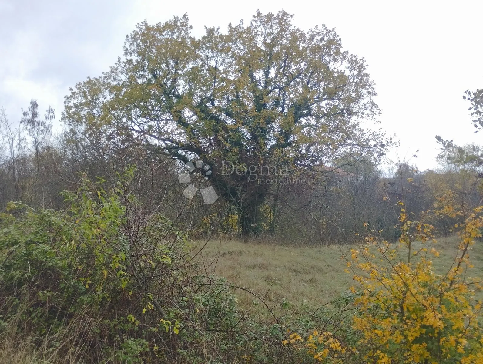 miran raj na zemljištu površine 22 371 m2 (22,37 ha) dio građevinski, nedešćina - istra! - slika 9