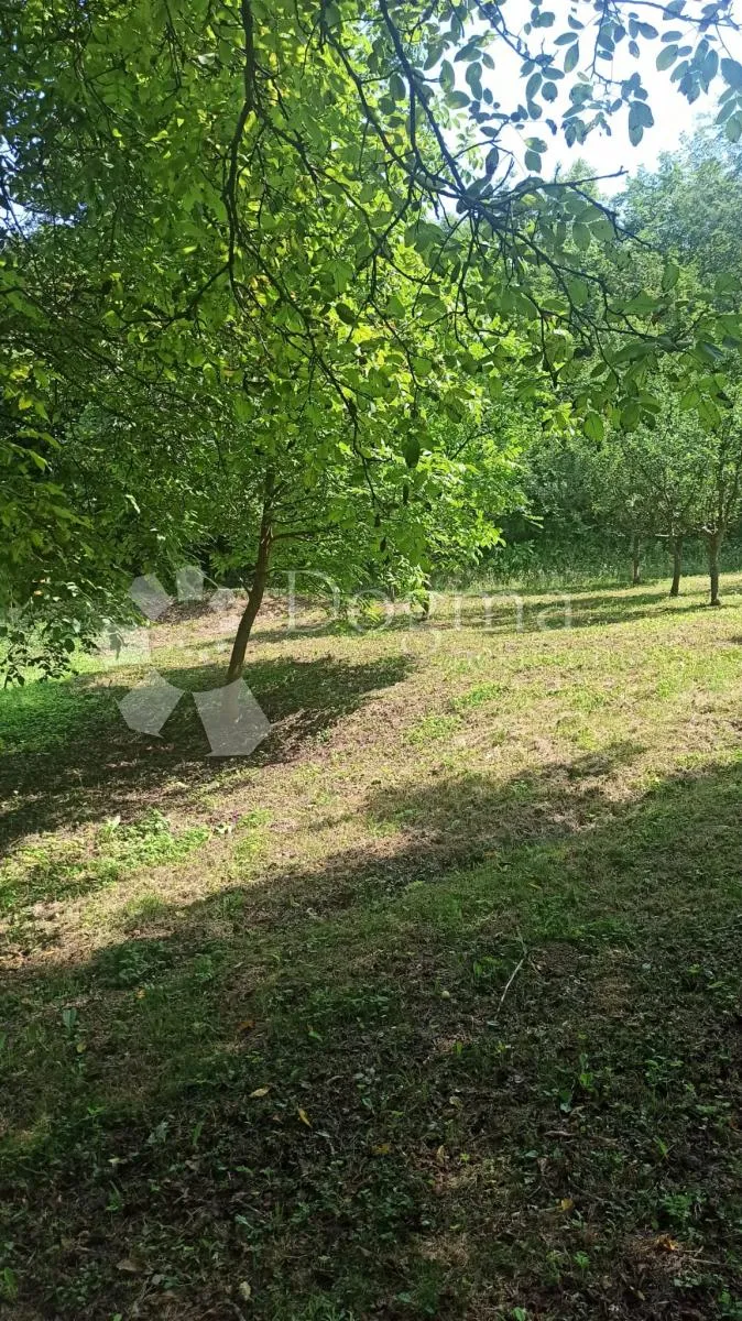 zemljište sa kućicom i spremištem, te wc-om nadomak zaboka - slika 45