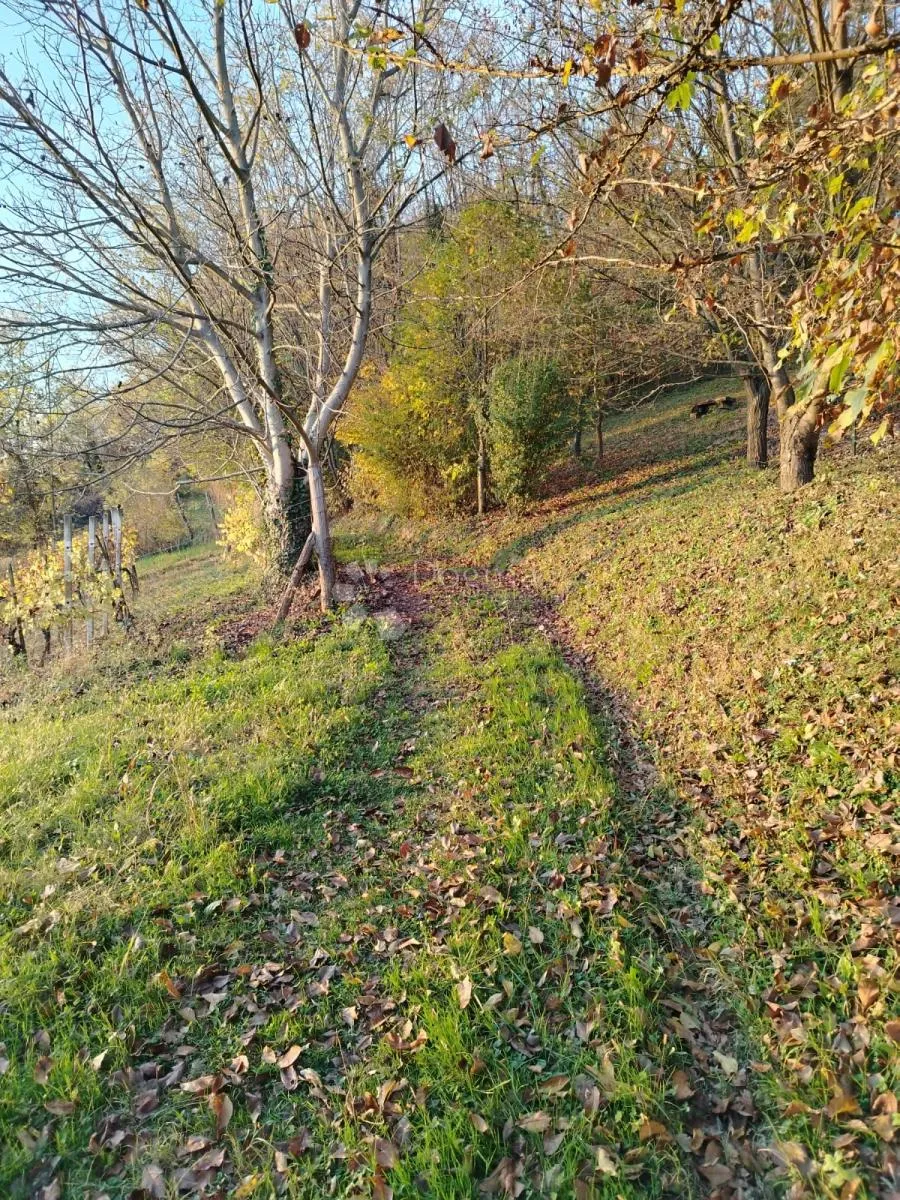 poljoprivredno zemljište picelj 4km od centra zaboka - slika 14