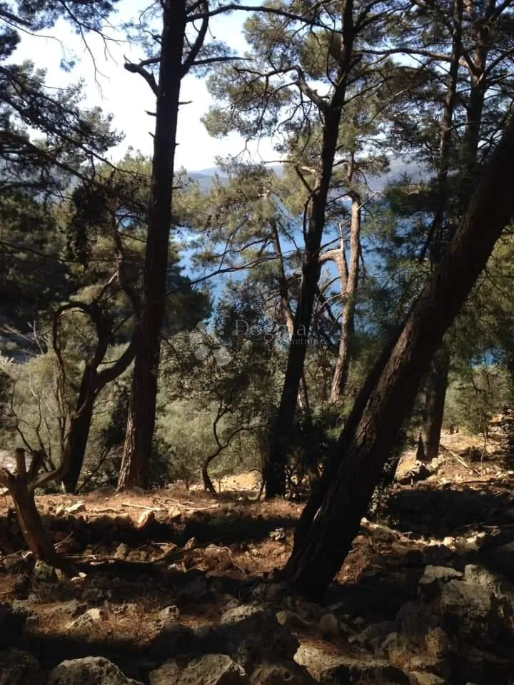 otok cres poljopriovredno zemljište uz more - slika 2