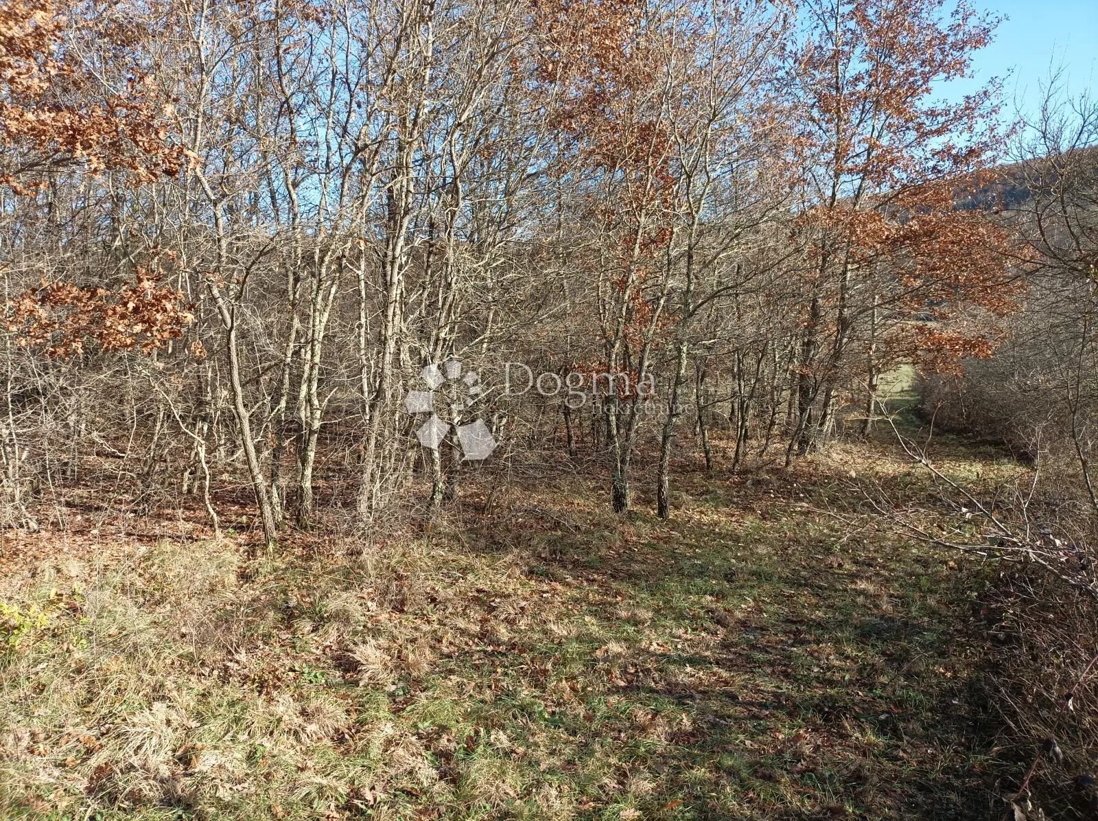 poljoprivredno zemljište 2020m2 10800e - prilika - slika 3