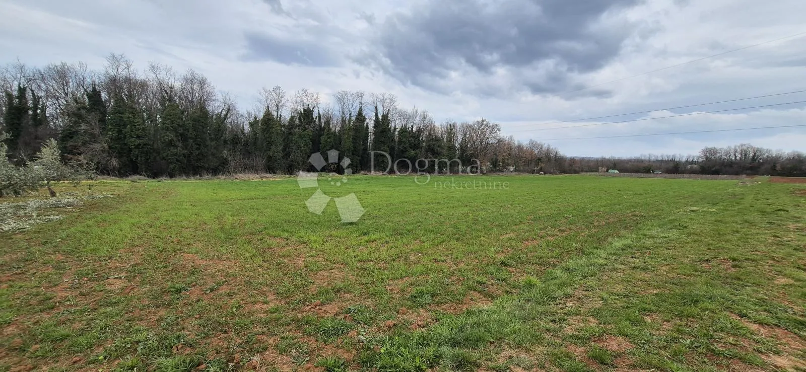 zemljište sa 60 maslina površine 10200 m2 - slika 13